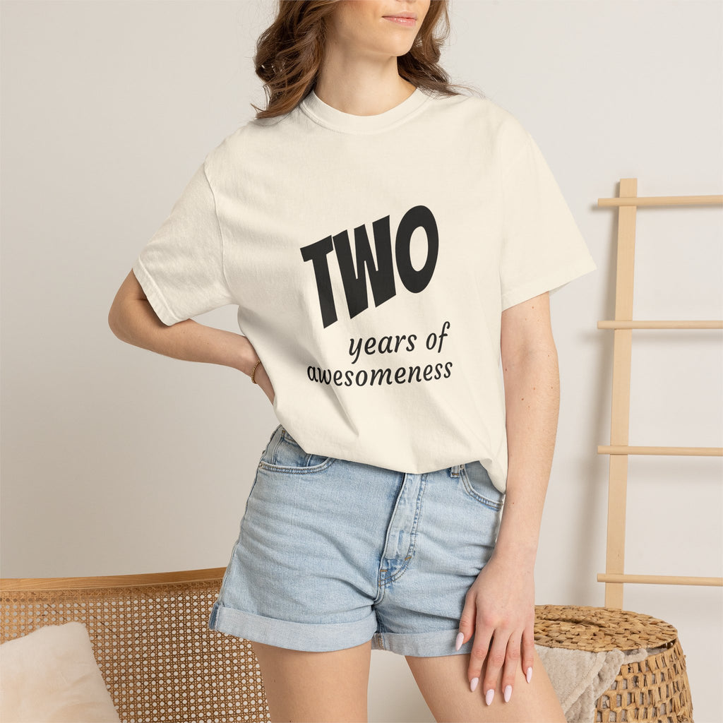 Two Years of Awesomeness T-Shirt