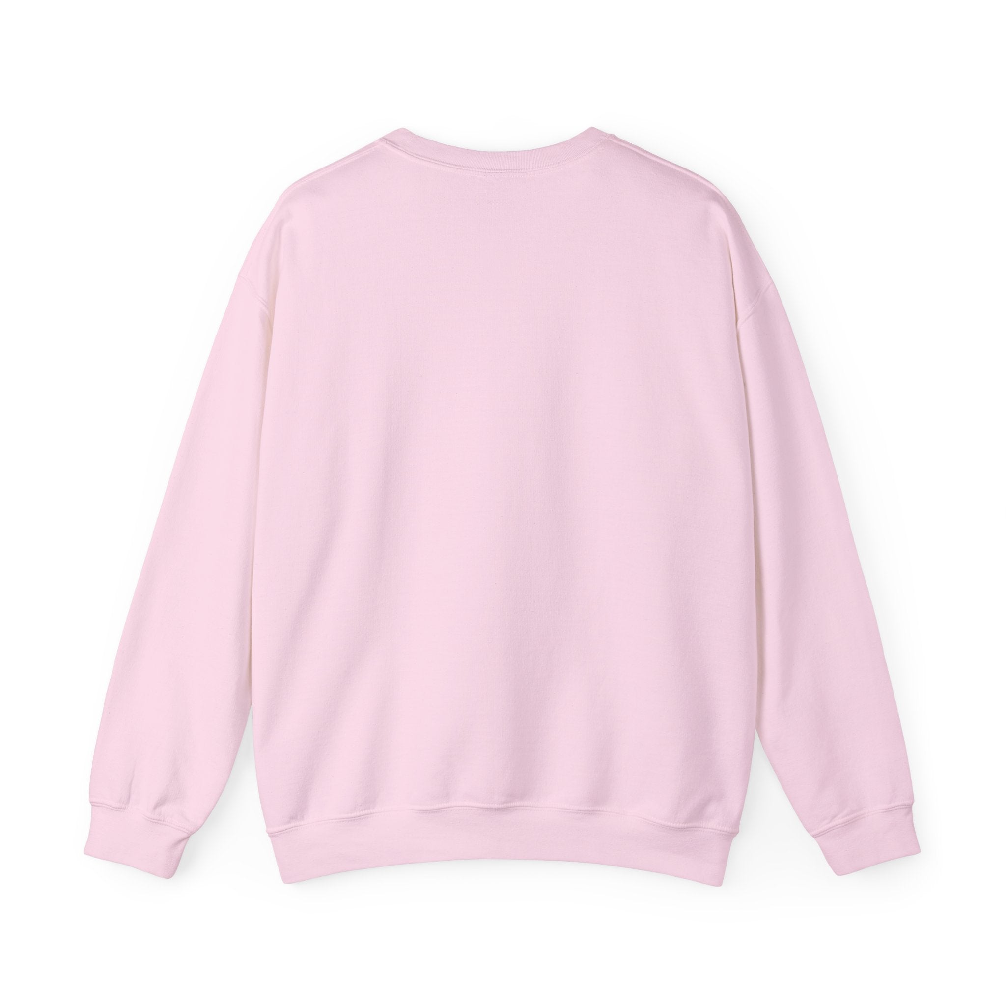 Seagull Choir 'We Bread' Funny Graphic Sweatshirt