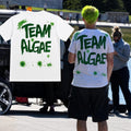 Team Algae Shirt,Reflecting Pool Protest Tee, Flag Blue Promised, Funny Political T-Shirt